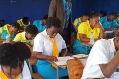 guiding the students